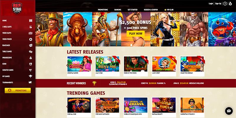 Red Stag Casino: An Overview