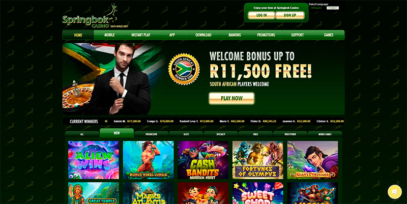 Springbok Casino: Ein Blick in die afrikanische Savanne.